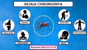 Penyakit Chikungunya: Gejala, Penyebab, dan Cara Pencegahan di 2023